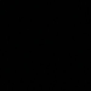 Meet your Posher, Koa